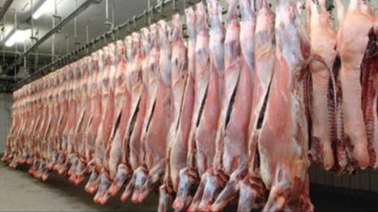 Maxi frode fiscale da 8 milioni nel settore carni