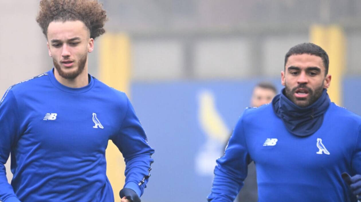 Modena, oggi arriva il Padova per continuare la striscia positiva