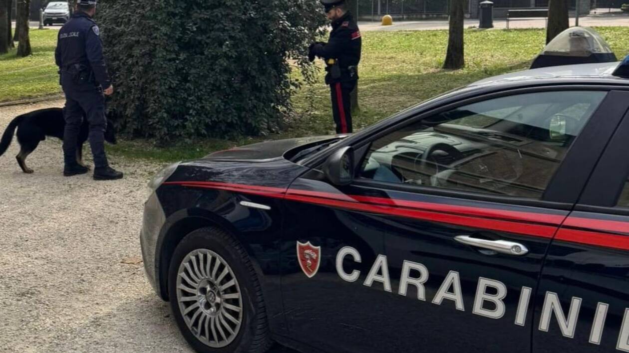 Nonantola, rapina Tigotà e morde addetto alla vigilanza: arrestata