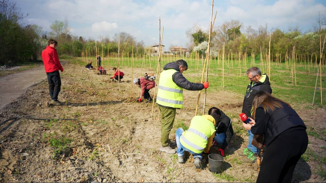 Spilamberto, dall’ex area Sipe un nuovo parco urbano grazie al progetto Bosco Ferrari