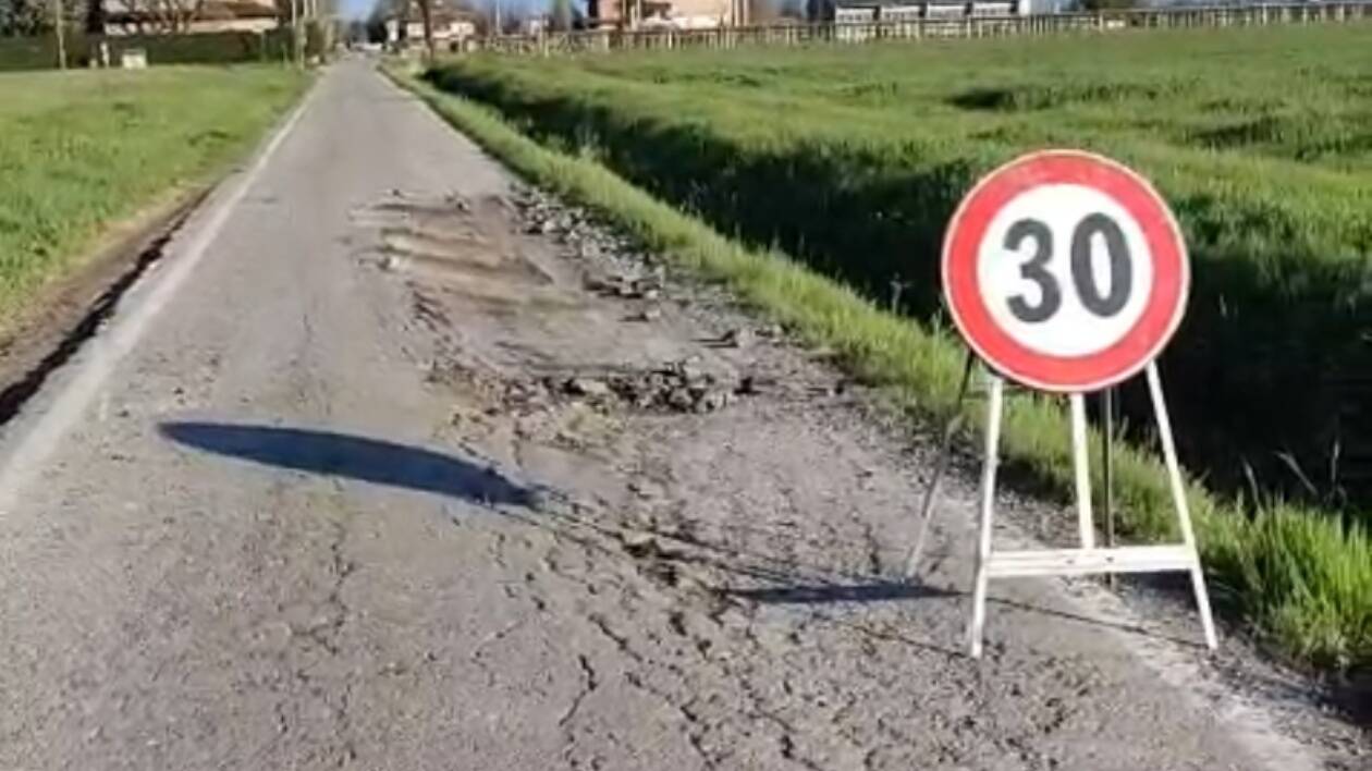 'Castelfranco Emilia, via Savioli ridotta in uno stato indecente: l'incuria del Comune si trasforma in pericolo'