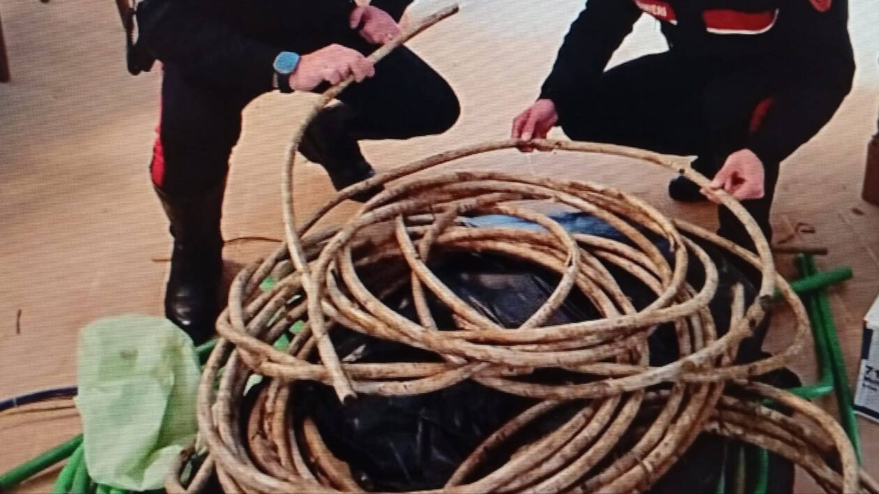 In garage costruiva bombe carta e in casa aveva una centrale di spaccio: arresto e indagini su un 23enne