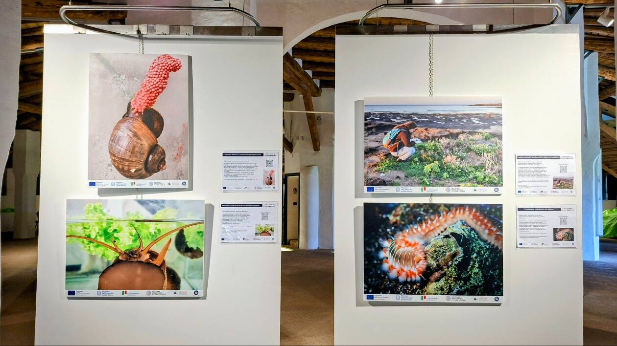Mostre: la biodiversità nelle foto Unimore al Barchessone Vecchio di Mirandola