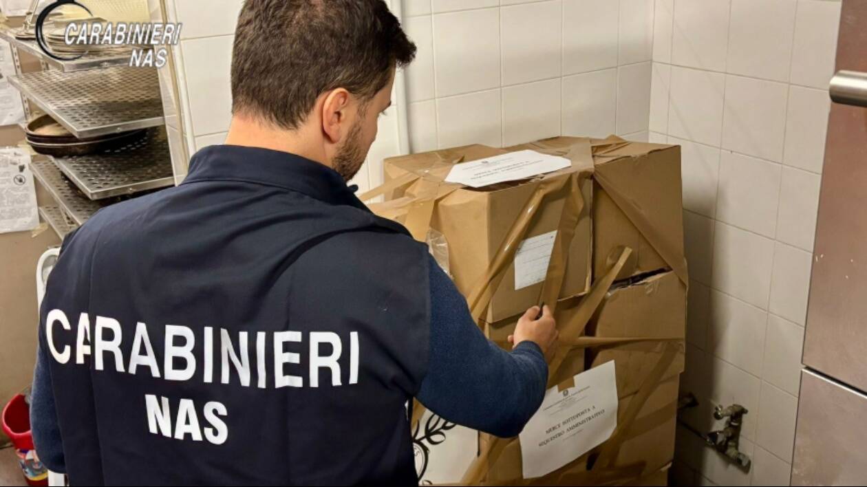 Modena, blitz dei Nas in un negozio etnico: 60 kg di cibo sequestrato, multa da oltre 7mila euro