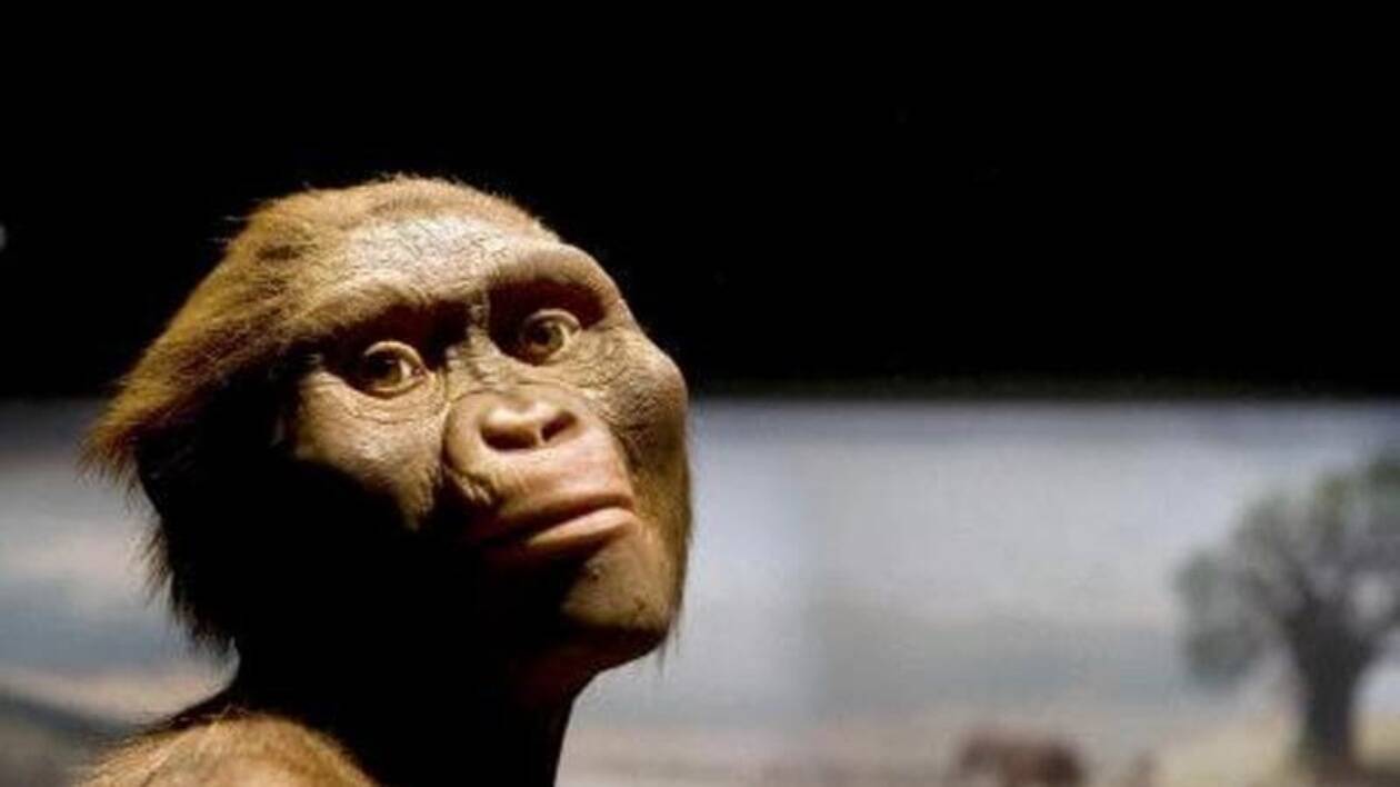 Lucy, la donna vissuta 3,2 milioni di anni fa: a Modena dialogo sull'evoluzione
