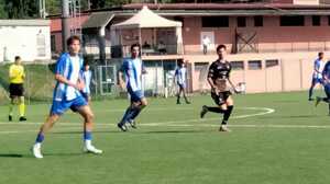 https://www.lapressa.it/articles/078986/terre-di-castelli-TN.jpg