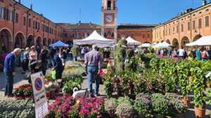 https://www.lapressa.it/articles/079131/appuntamenti-provincia-TN.jpg