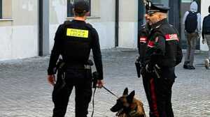 https://www.lapressa.it/articles/079204/sassuolo-iti-volta-cane-antidroga-ector-polizia-locale-carabinieri-di-sassuolo-TN.jpg