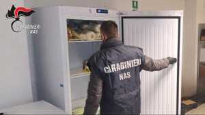 https://www.lapressa.it/articles/079251/nas-carenze-igieniche-carabinieri-TN.jpg