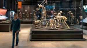 https://www.lapressa.it/articles/079335/musei-TN.jpg