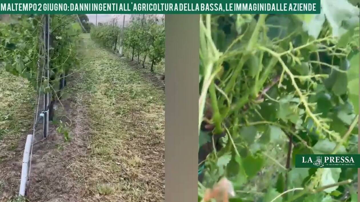 Nubifragio: tra Carpi e la Bassa aumenta il conto dei danni