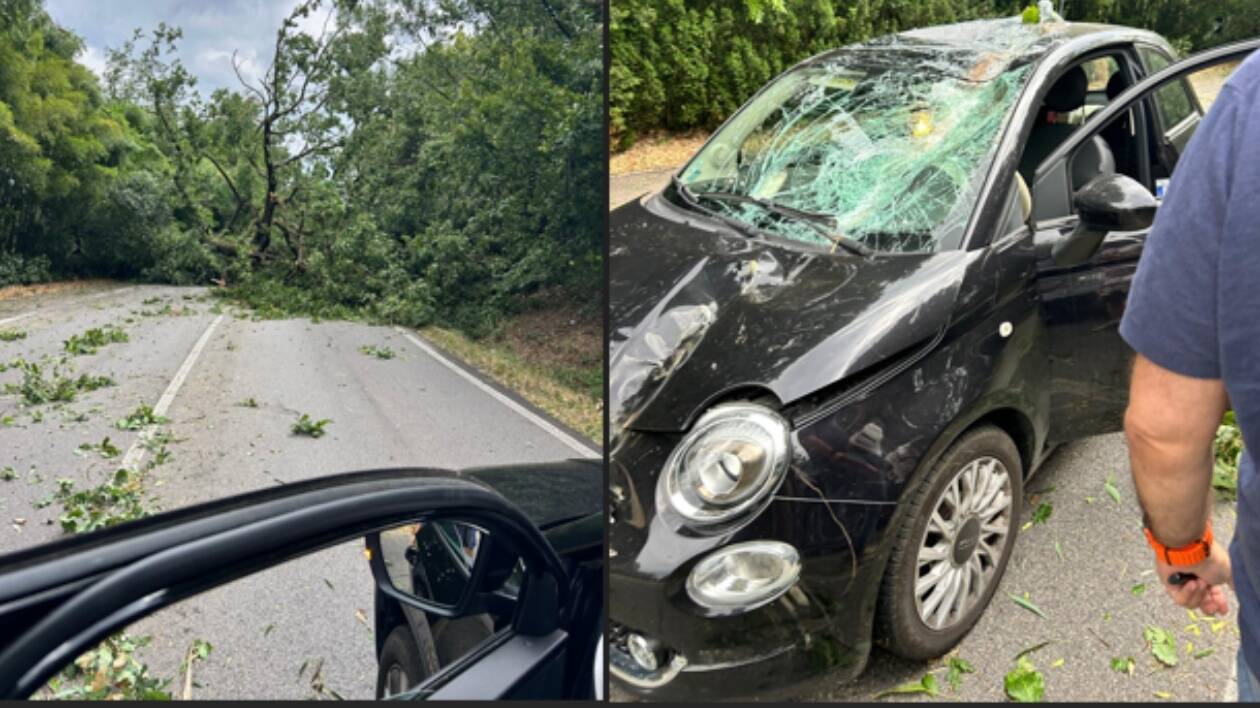 Raffiche di vento, albero si abbatte su un'auto sulla Nuova Estense a Pozza: conducente illesa