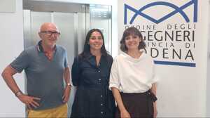 https://www.lapressa.it/articles/080494/modena-ingegneri-TN.jpg
