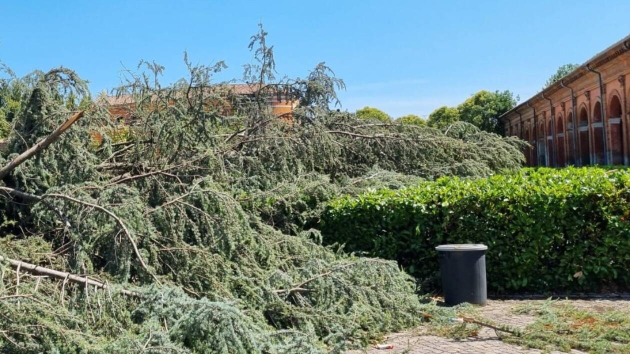 Maltempo: a Finale Emilia devastazione al cimitero