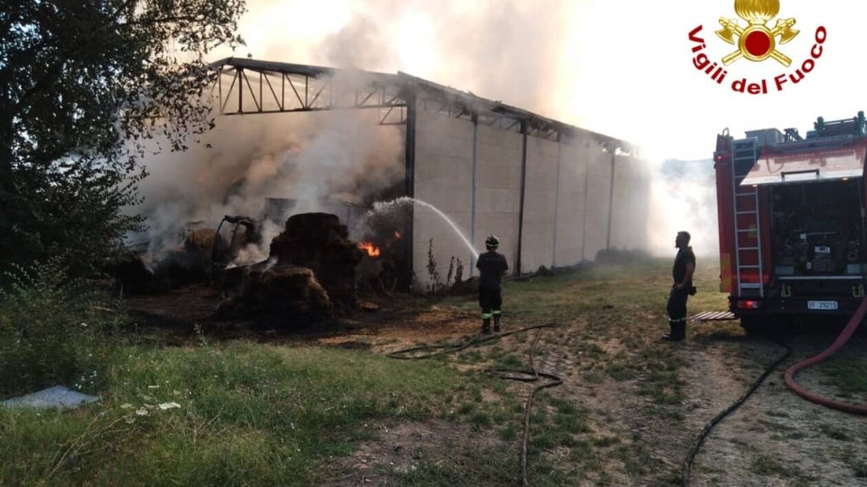 Zocca, rogo in azienda agricola: 500 animali in salvo