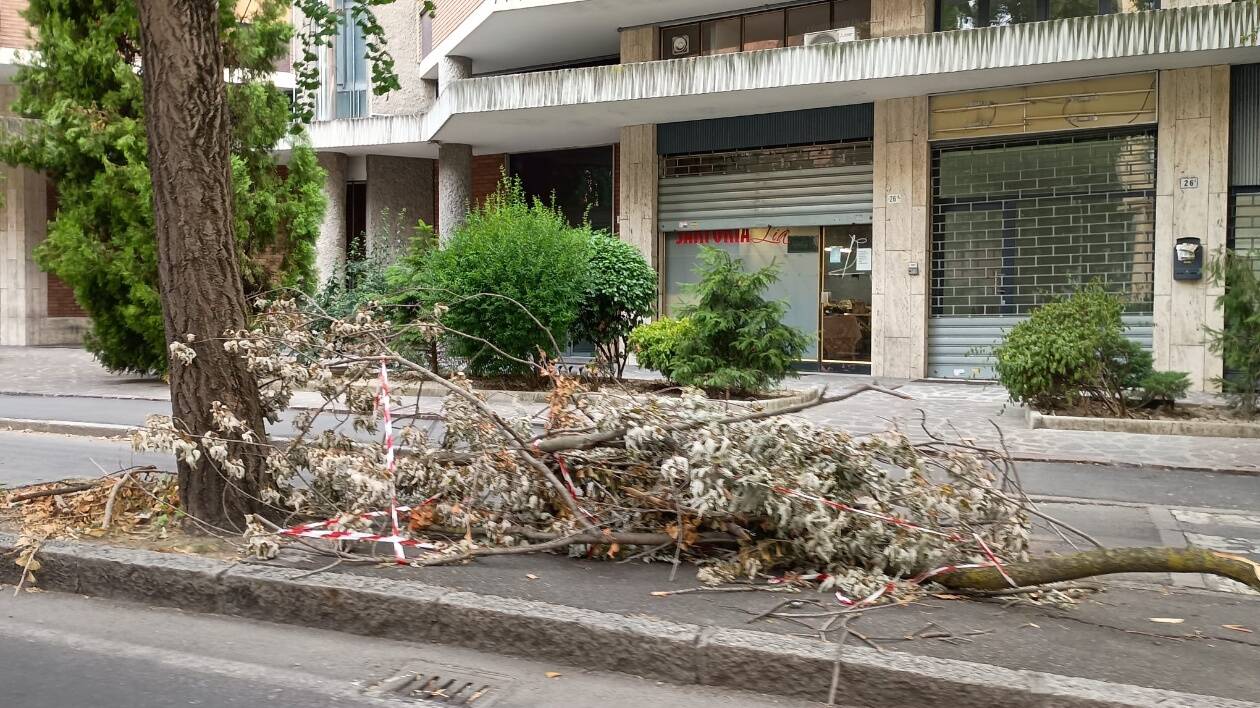 Modena, è normale che i resti di un temporale rimangano a terra per settimane?