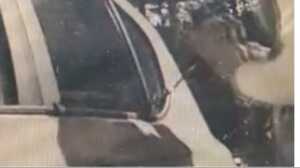 https://www.lapressa.it/articles/081469/modena-regione-emilia-romagna-furti-auto-TN.jpg