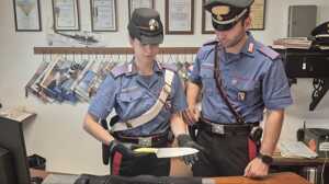 https://www.lapressa.it/articles/081621/castelfranco-emilia-carabinieri-TN.jpg