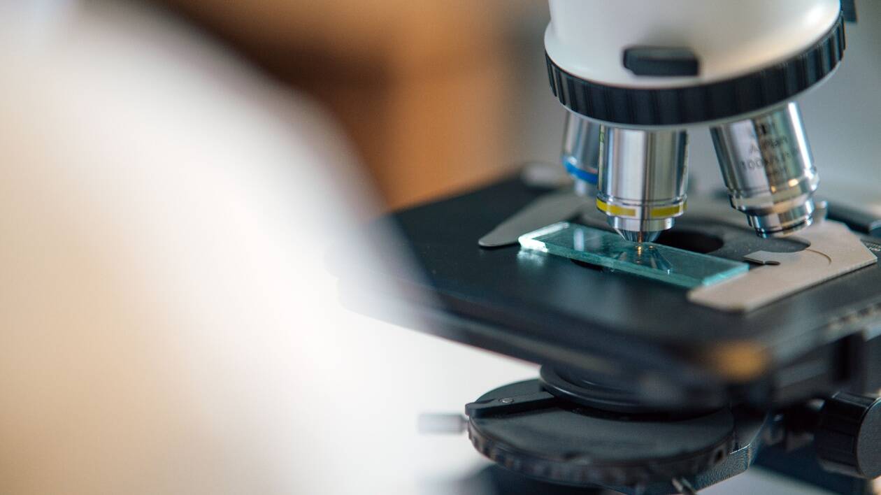 La filantropia come motore della ricerca sulle malattie rare