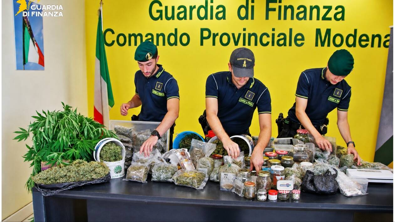 Coltivava, produceva e spacciava cannabis, tutto in casa: arrestato dalla GDF di Modena