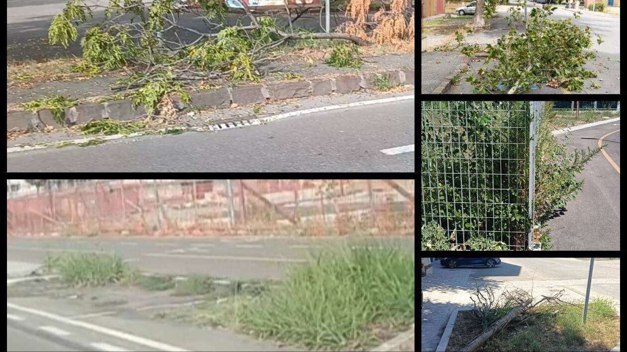 Verde pubblico, cura allo sbando, Modena mai vista cosi