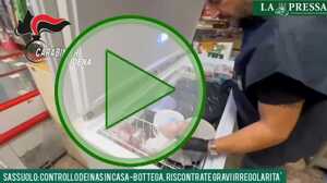https://www.lapressa.it/articles/081864/sassuolo-TN.jpg