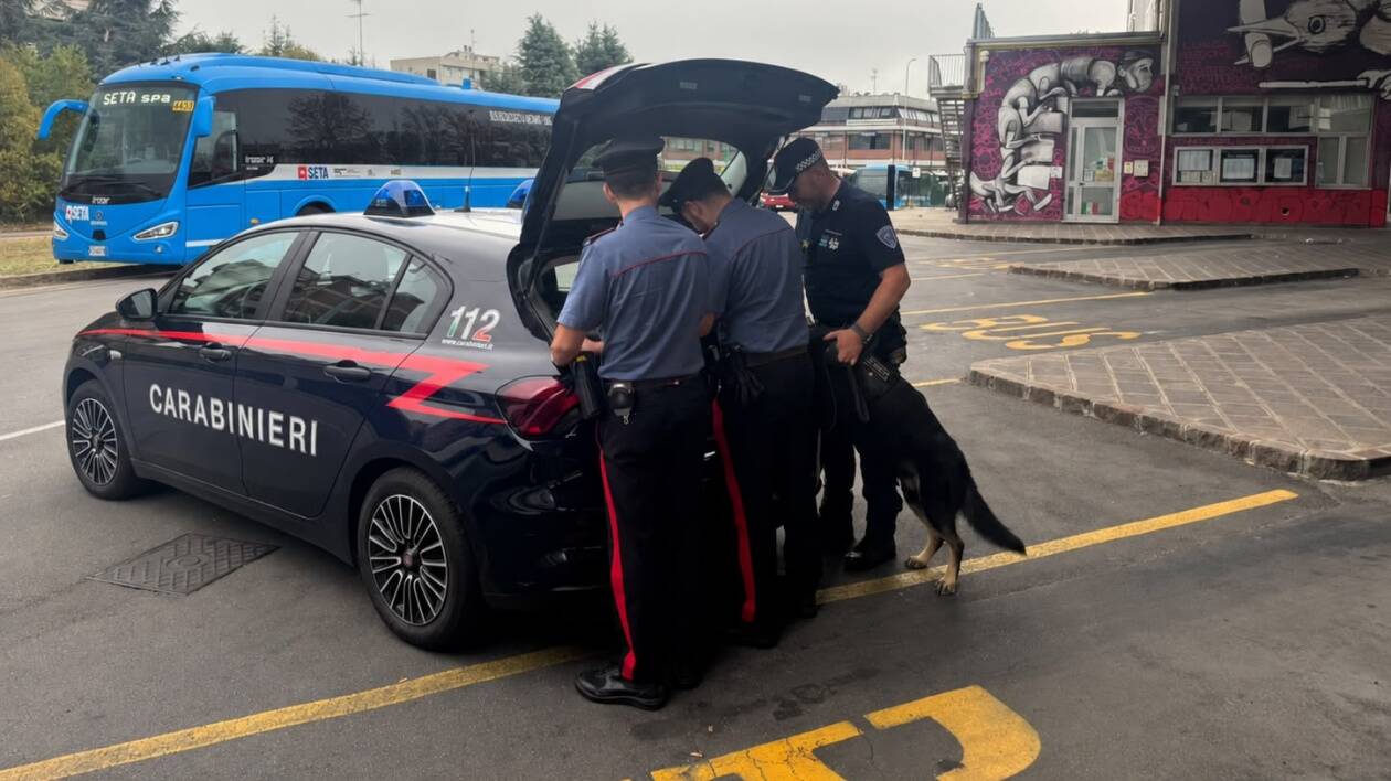 Vignola, controlli antidroga nelle aree frequentate dagli studenti: recuperata piccola quantità di marijuana