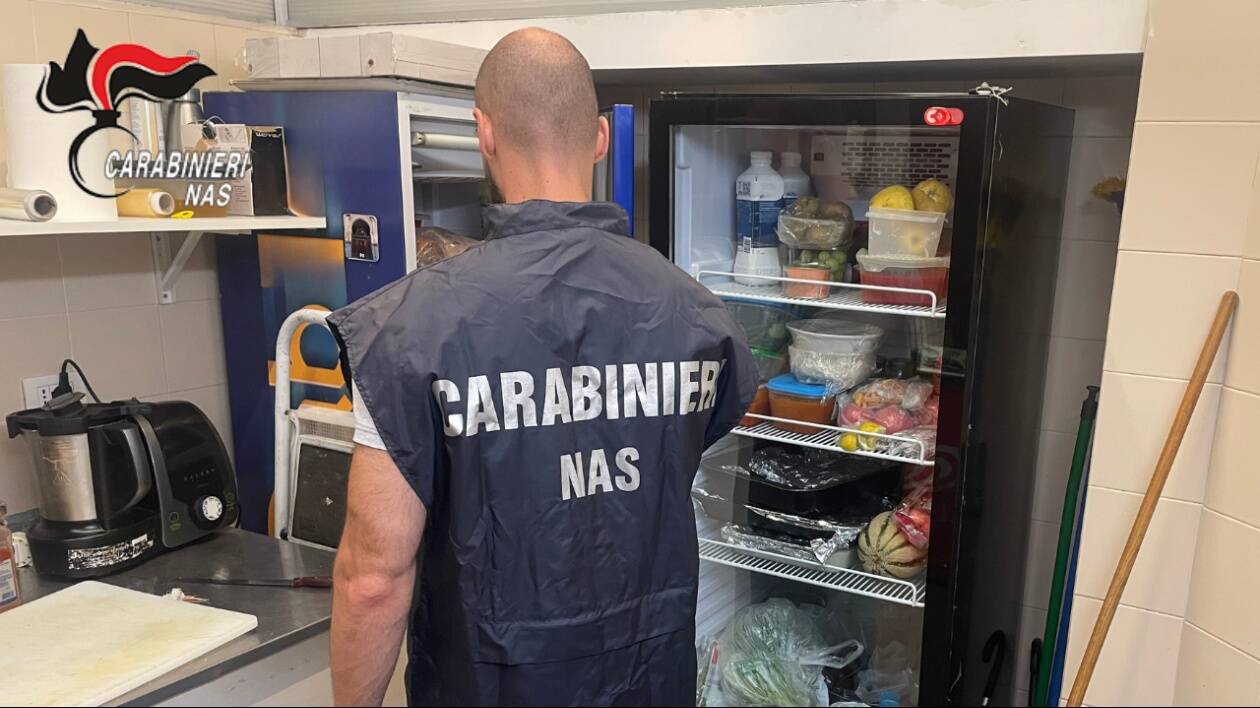 Modena, Nas in un market etnico e in una pizzeria: multe per 2mila euro