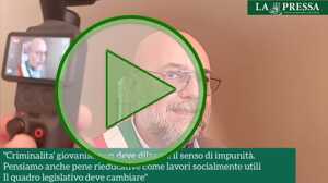 https://www.lapressa.it/articles/082389/massimo-mezzetti-criminalit-giovanile-TN.jpg