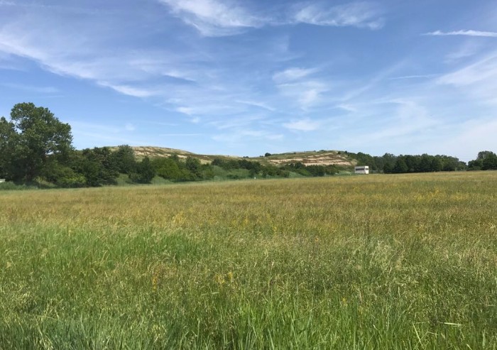 Viaggio nelle periferie: Torrazzi tra degrado e voglia di riscatto