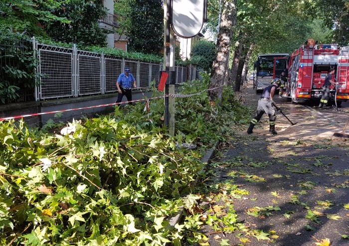 Nubifragio sulla fascia Pedemontana: danni da Savignano a Serramazzoni