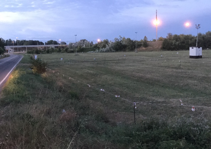 Modena, una vigilia tranquilla in attesa del concerto di domani sera