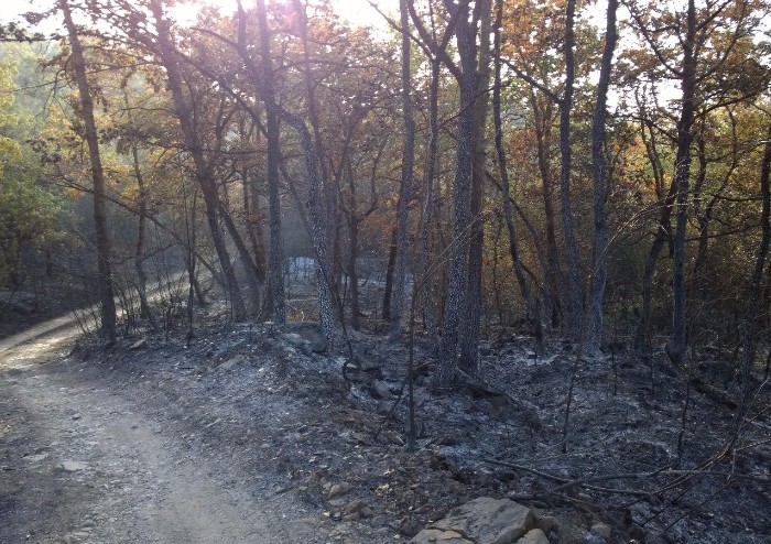 Il giorno dopo l'incendio