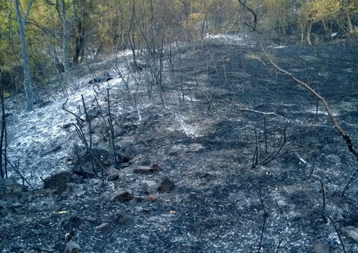 Il giorno dopo l'incendio