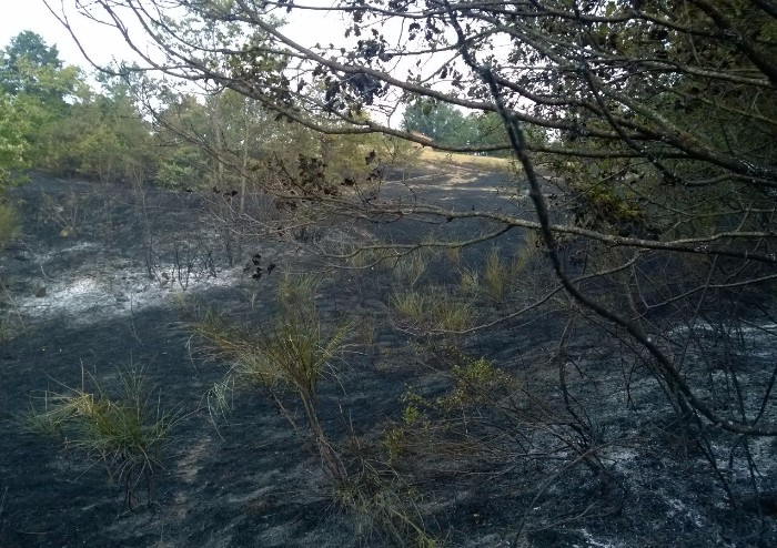 Il giorno dopo l'incendio