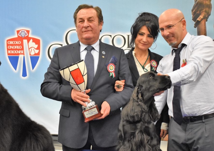 Esposizione internazionale canina: il cane più bello è Enigma