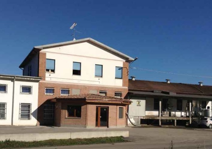 Polinago, 200 forme di Parmigiano rubate dal Caseificio Santa Maria