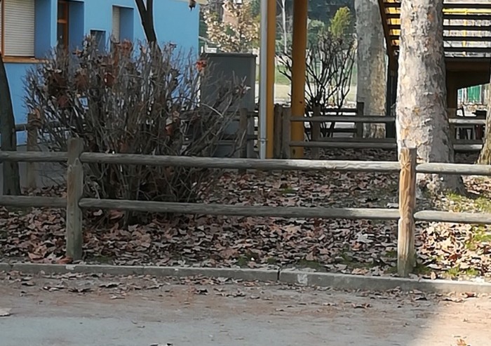 'Degrado e sporcizia al polo scolastico Galilei'