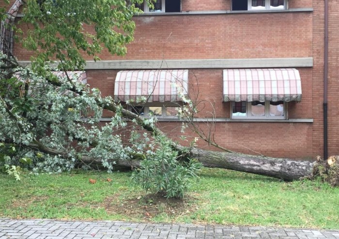 Violento temporale: continua conta danni a Soliera, Carpi e Bomporto