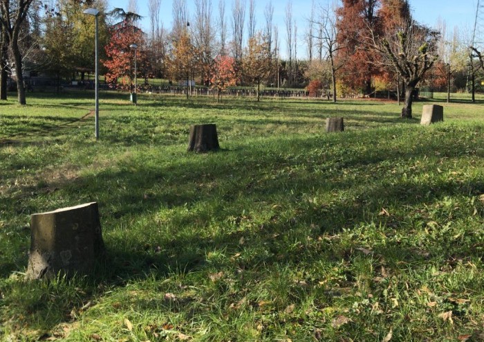 Nella giornata degli alberi il Comune fa strage di alberi