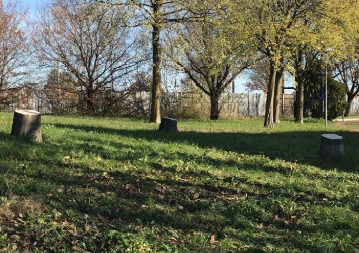 Nella giornata degli alberi il Comune fa strage di alberi