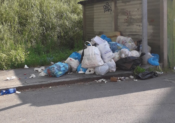 Modena, rifiuti in via Scacciera: ratti di giorno e di notte