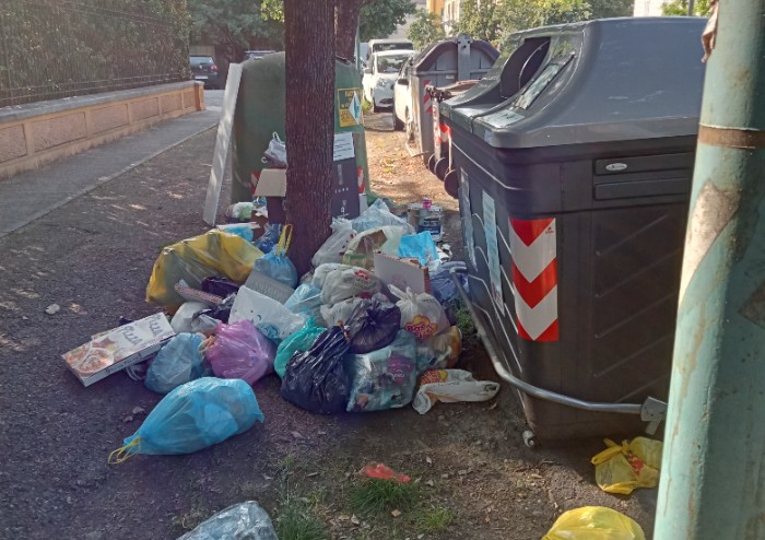 Modena, discariche ovunque: situazione completamente fuori controllo