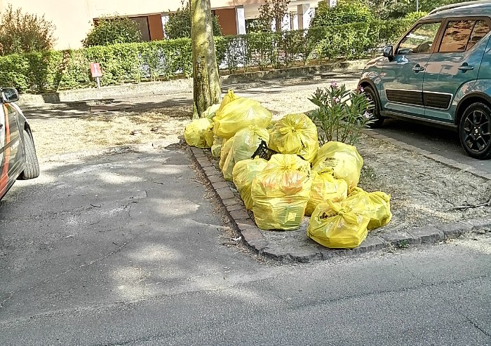 Modena, rifiuti in mostra: un nuovo astrattismo