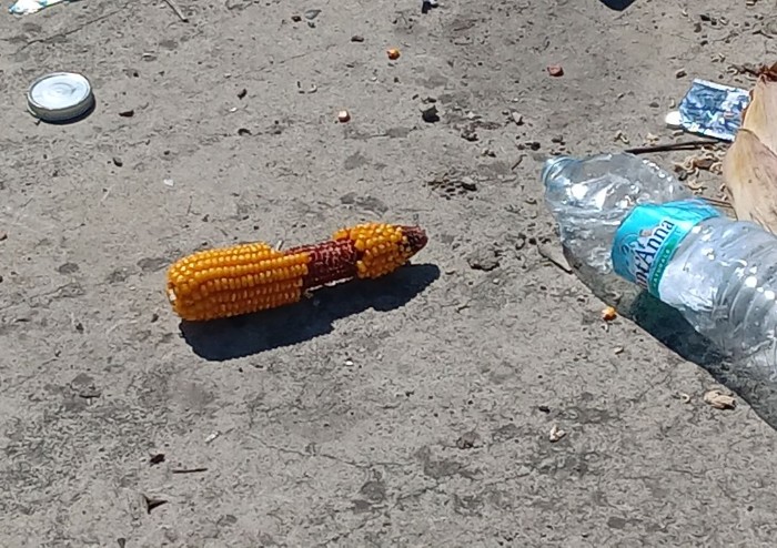 Modena, viale del Mercato: tra bivacchi e degrado