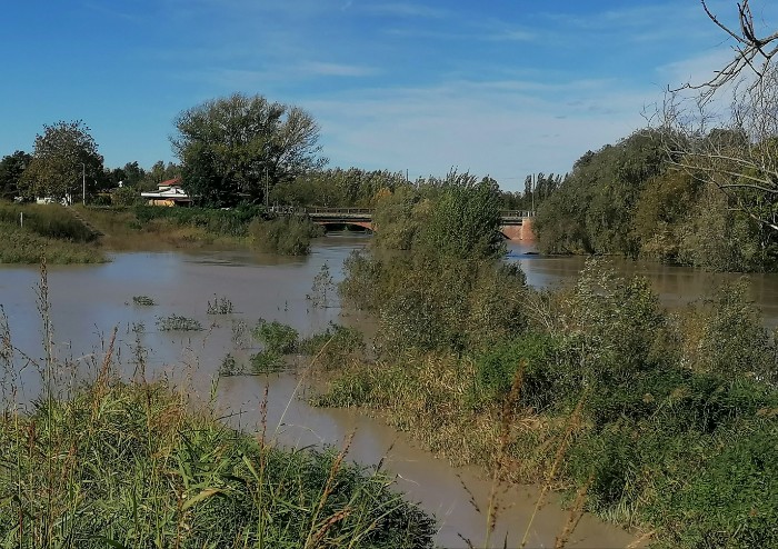 Modena graziata dal maltempo: pioggia al di sotto delle previsioni, i fiumi non fanno paura