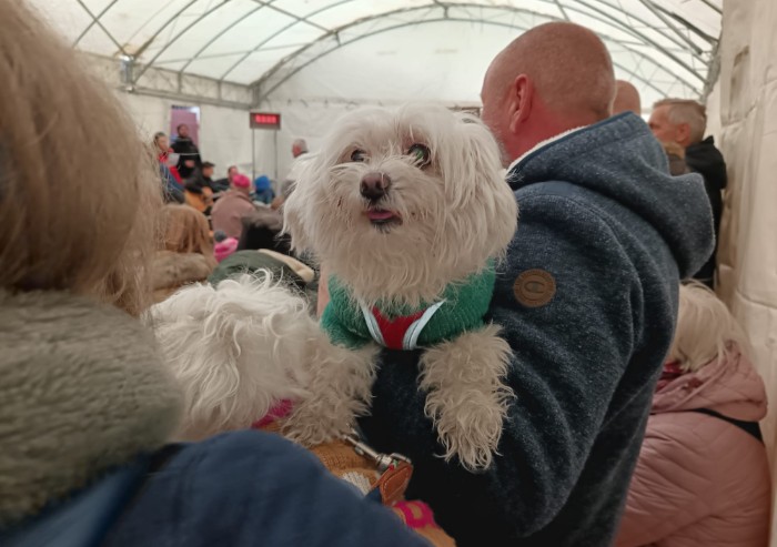 Sant'Antonio: la benedizione degli animali a Gaiato di Pavullo domenica