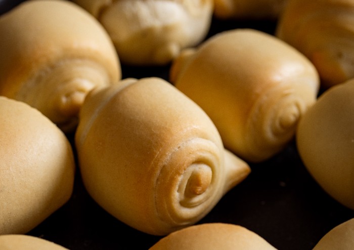 La Secchia Rapita, la casa della cucina modenese nel cuore della città 