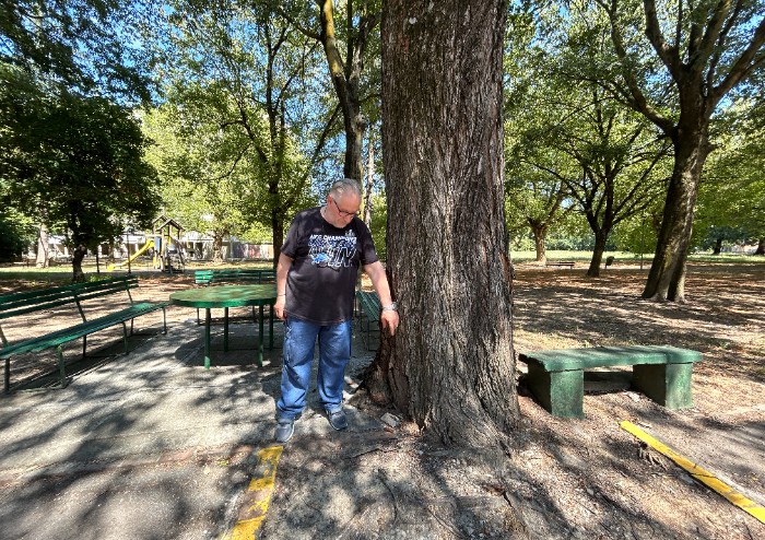 Modena, crolla un grosso ramo sui giochi al parco di via Newton: bimbo in salvo