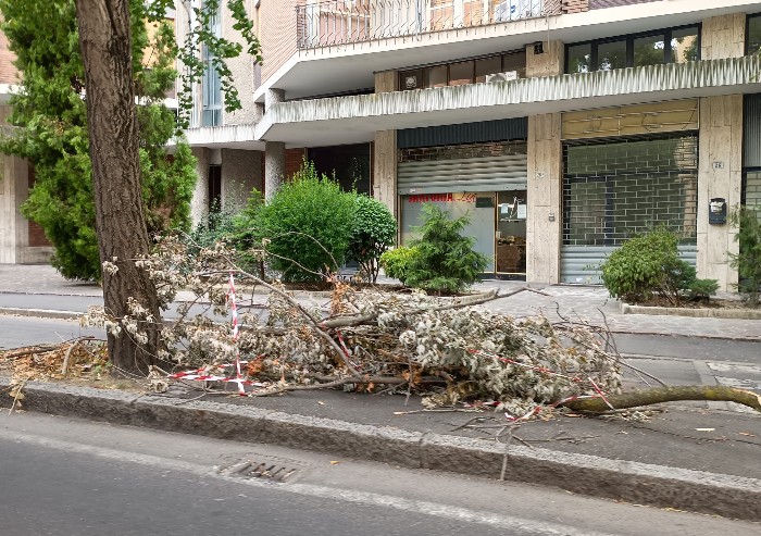 Modena, è normale che i resti di un temporale rimangano a terra per settimane?